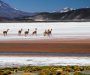 Ruta por San Juan, La Rioja y Catamarca