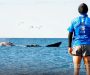 Destino Madryn 2025: corré junto al mar en plena temporada de ballenas